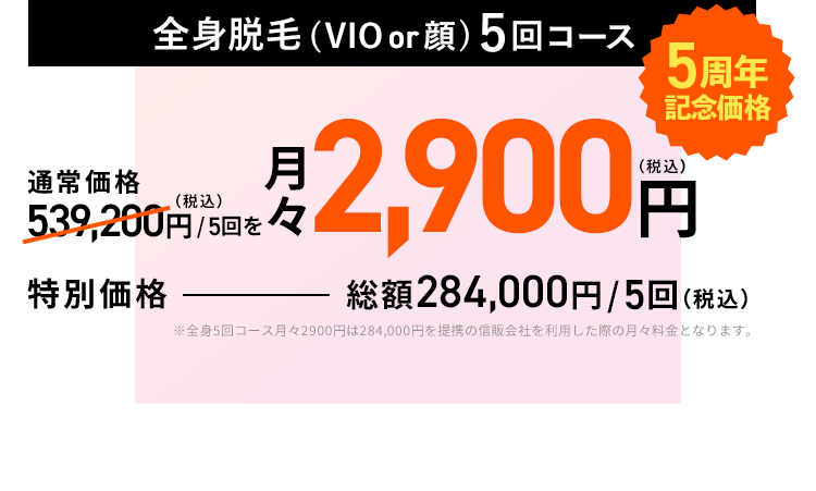 全身価格 通常価格 539,200円（税込）→ -¥61,800 → 292,925円（税込）